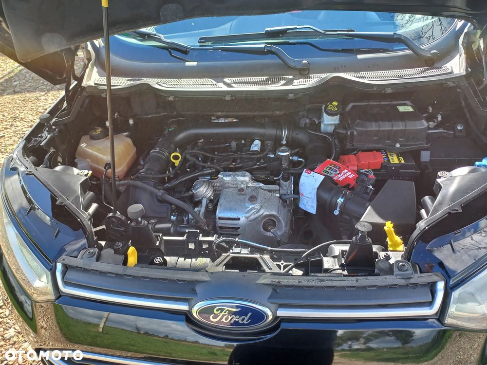 Ford EcoSport - 9
