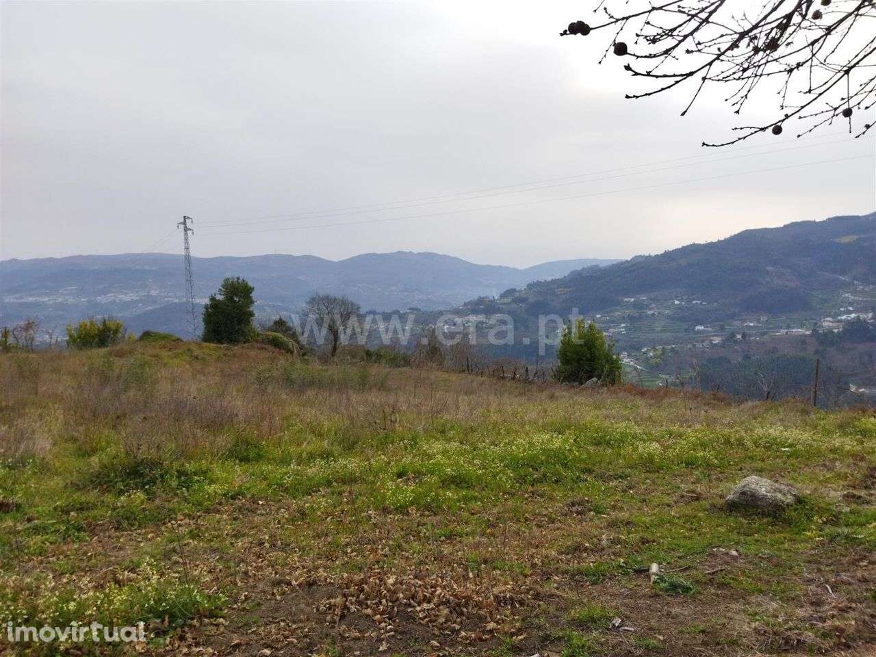 Terreno / Baião, Baião (Santa Leocádia) e Mesquinhata - Grande imagem: 2/6