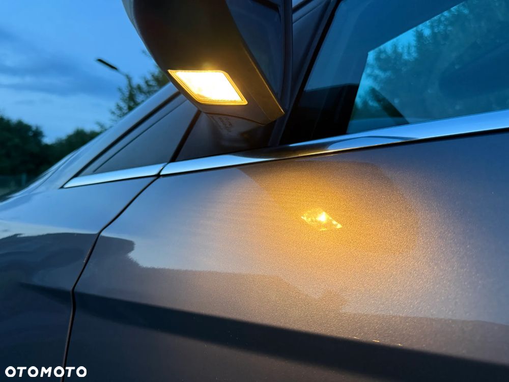 Ford Focus - 31