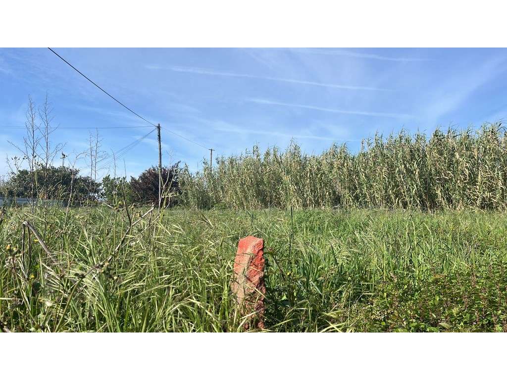 Terreno para construção em Antas, Esposende