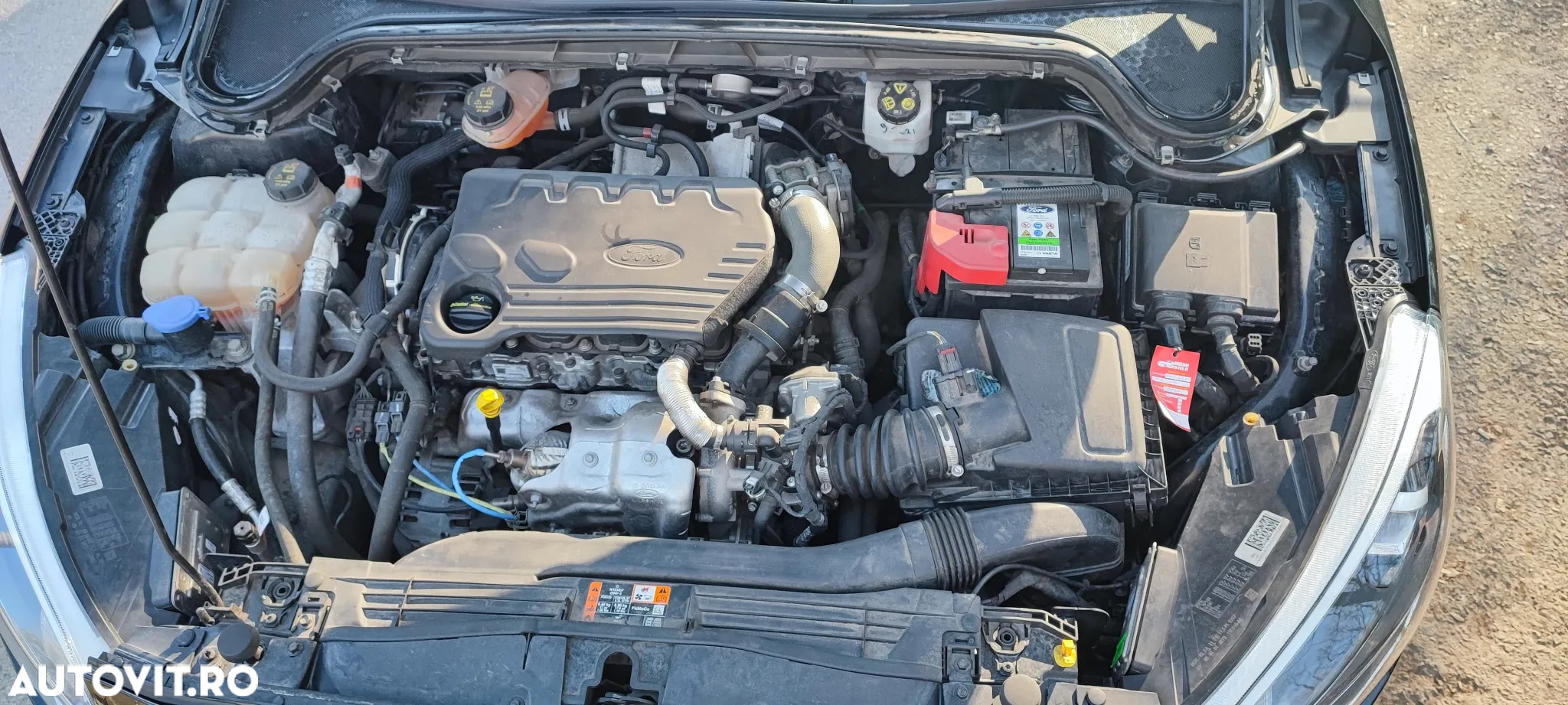Ford Focus 1.5 EcoBlue Titanium Business - 14