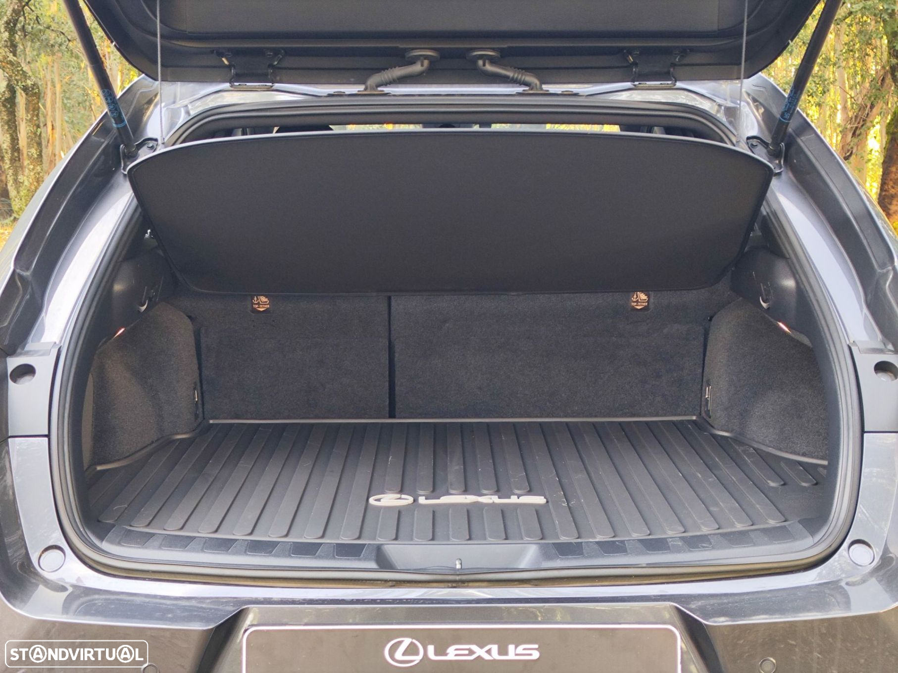 Lexus ux-250h Sport (Ecrã 12.3) - 15