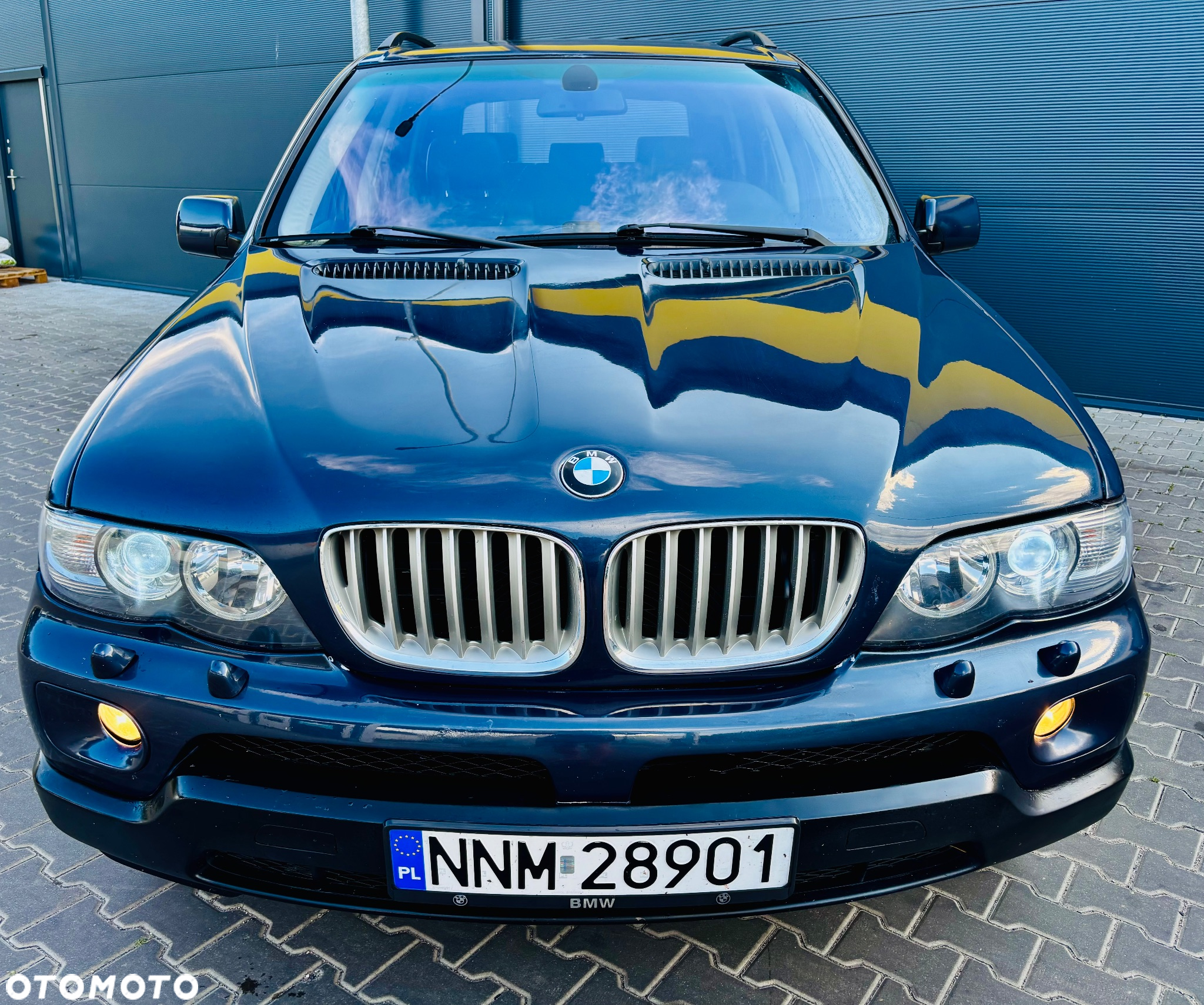 BMW X5 xDrive30i Edition 10 Jahre - 5