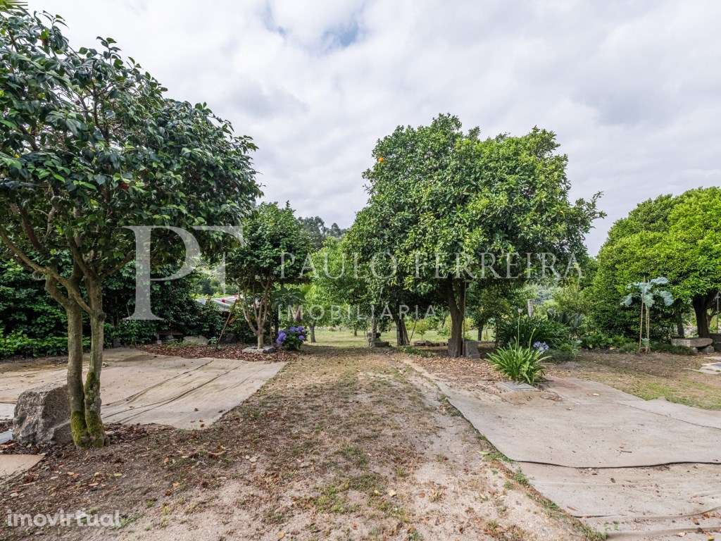 Moradia rústica em Landim - Grande imagem: 4/39