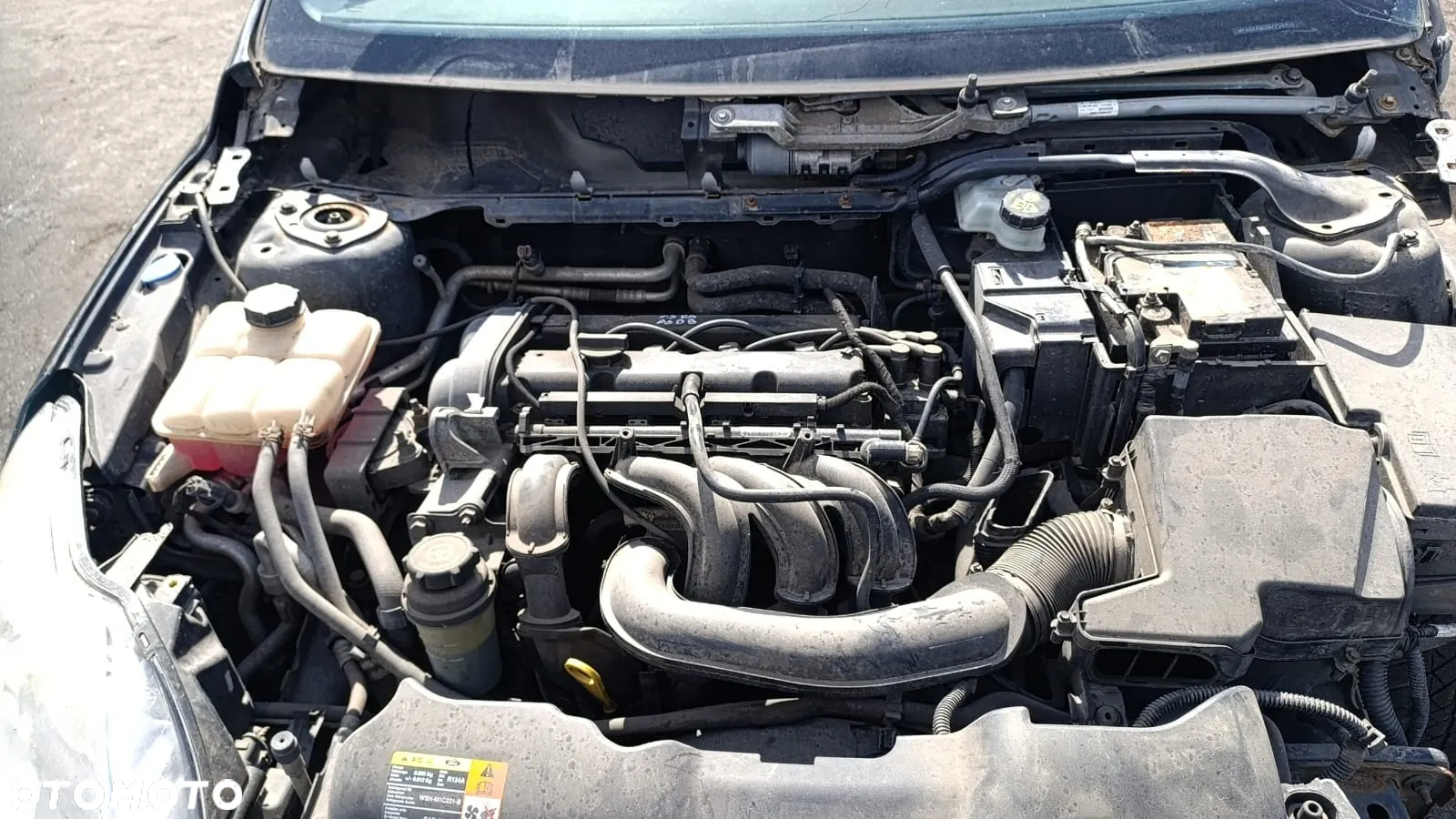34772 ford focus mk2 lift 1.4 16v 80 km ASDA (ASDB) na części kod lakieru f3 - 2