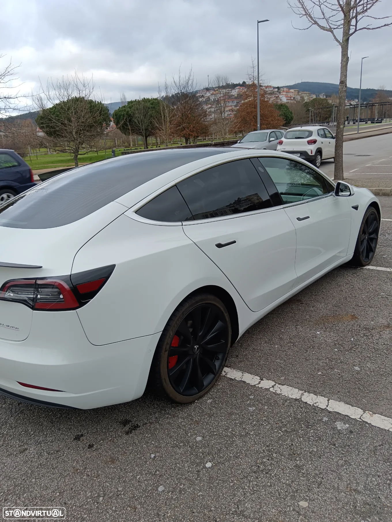 Tesla Model 3 Performance Dual Motor AWD - 3