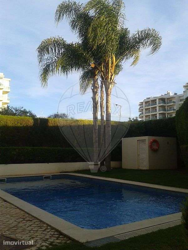 Apartamento T1 para arrendamento - Grande imagem: 3/13