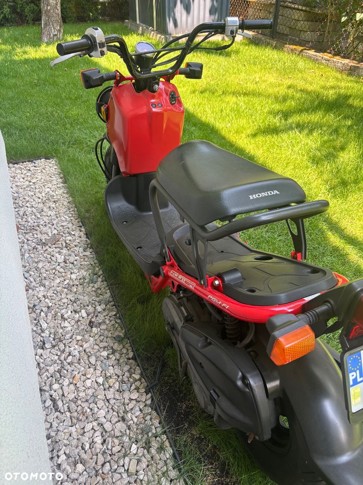 Honda Zoomer - 6