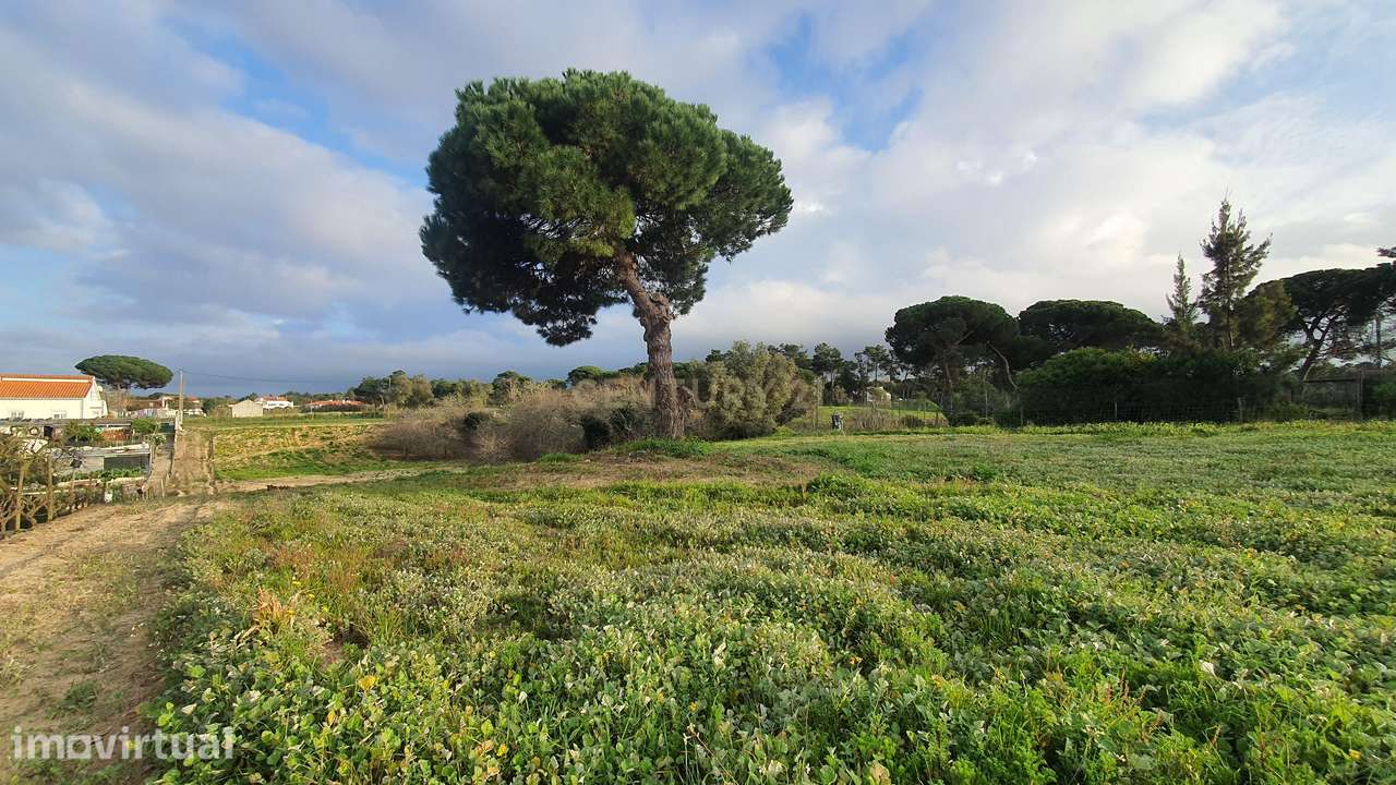 Terreno no meco para apoio agricola ou empreendimento turistico. - Grande imagem: 5/12