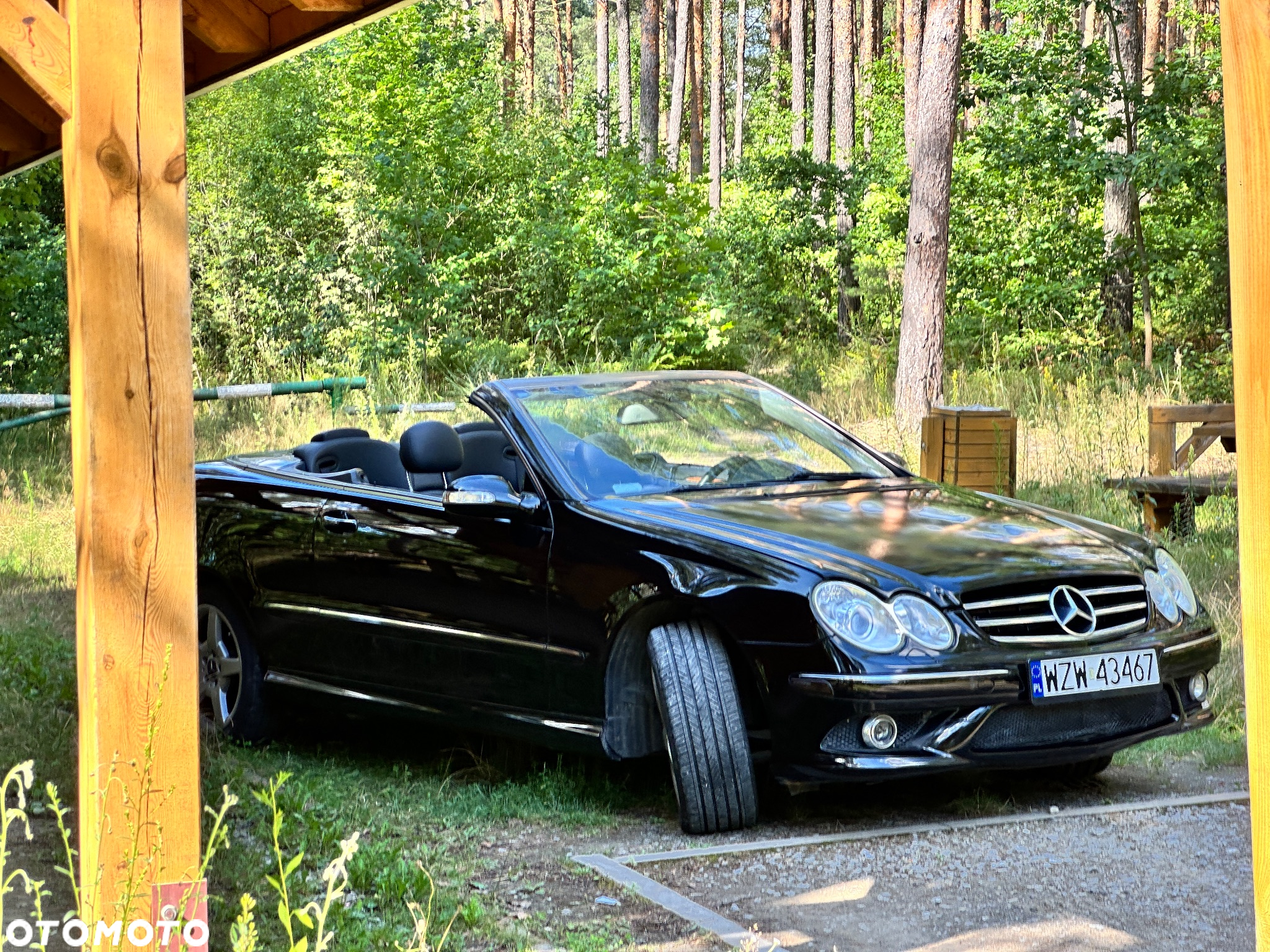 Mercedes-Benz CLK - 13