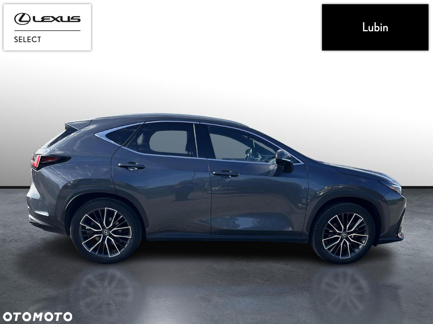 Lexus NX - 6