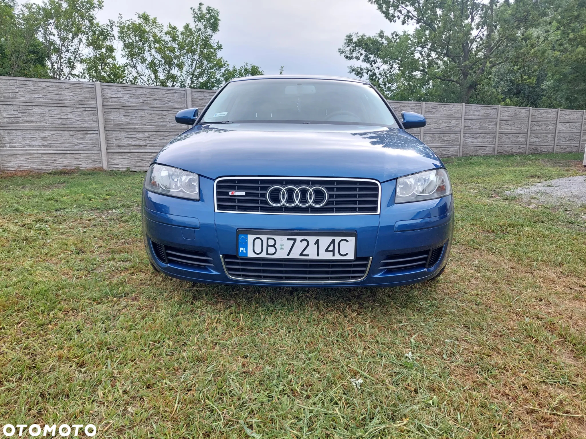 Audi A3 1.6 Ambiente - 20
