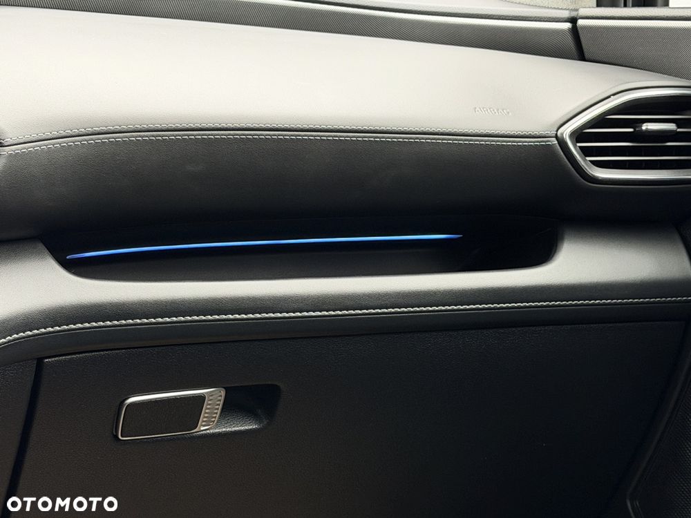 Hyundai Santa Fe 1.6 T-GDI HEV Premium 4WD - 16