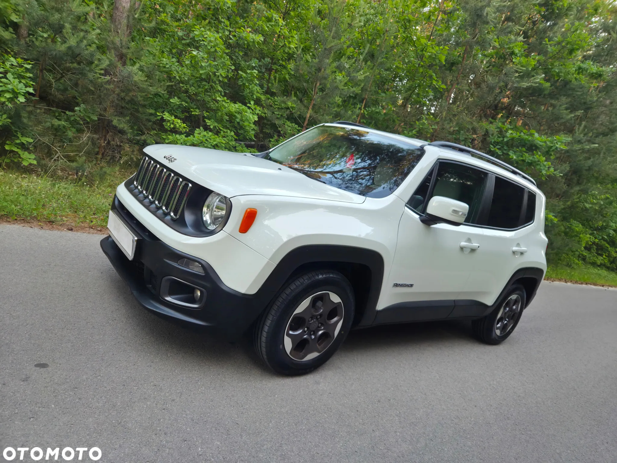 Jeep Renegade 1.4 MultiAir DSG Business Line - 12