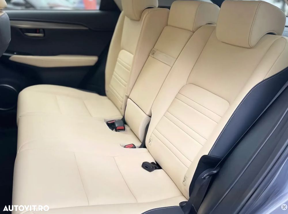 Lexus Seria NX 300h AWD Executive Plus - 10