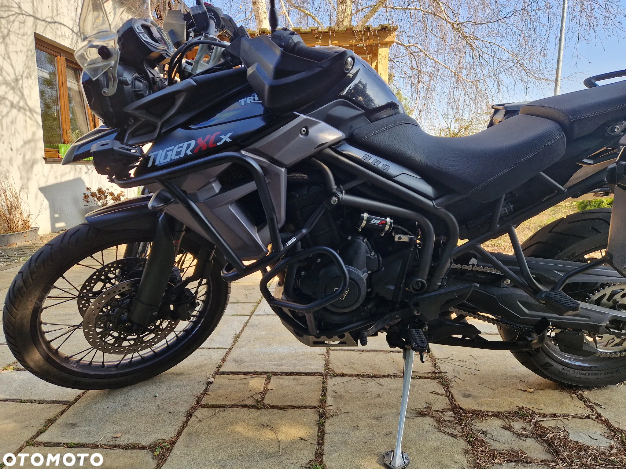 Triumph Tiger - 8