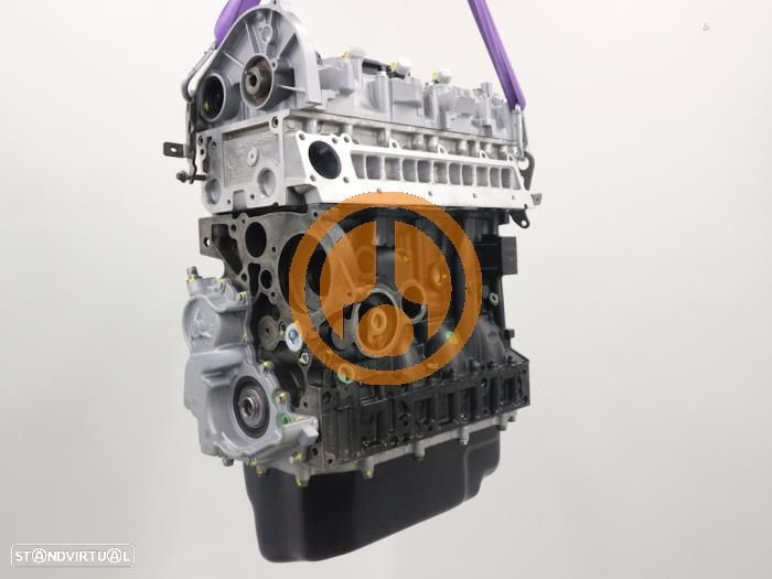 Motor F1AE3481 IVECO - 4