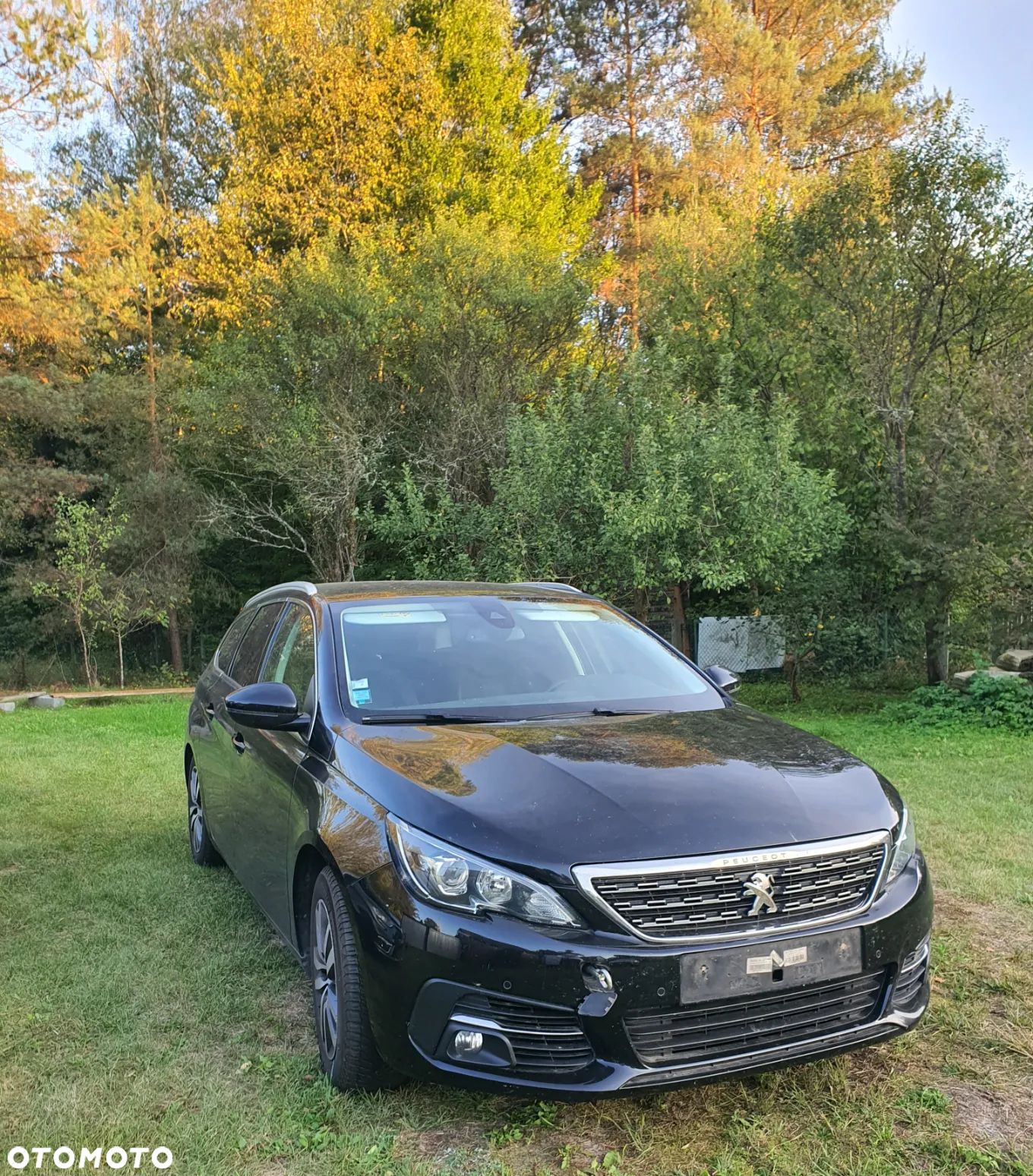 Peugeot 308 - 1