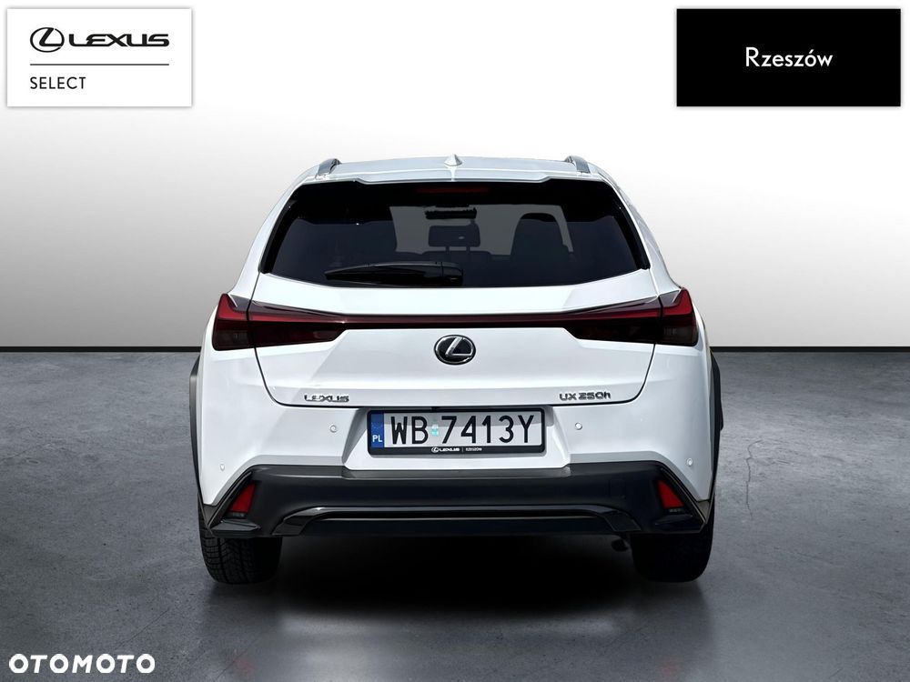 Lexus UX 250h GPF F Sport Design+ 2WD - 4