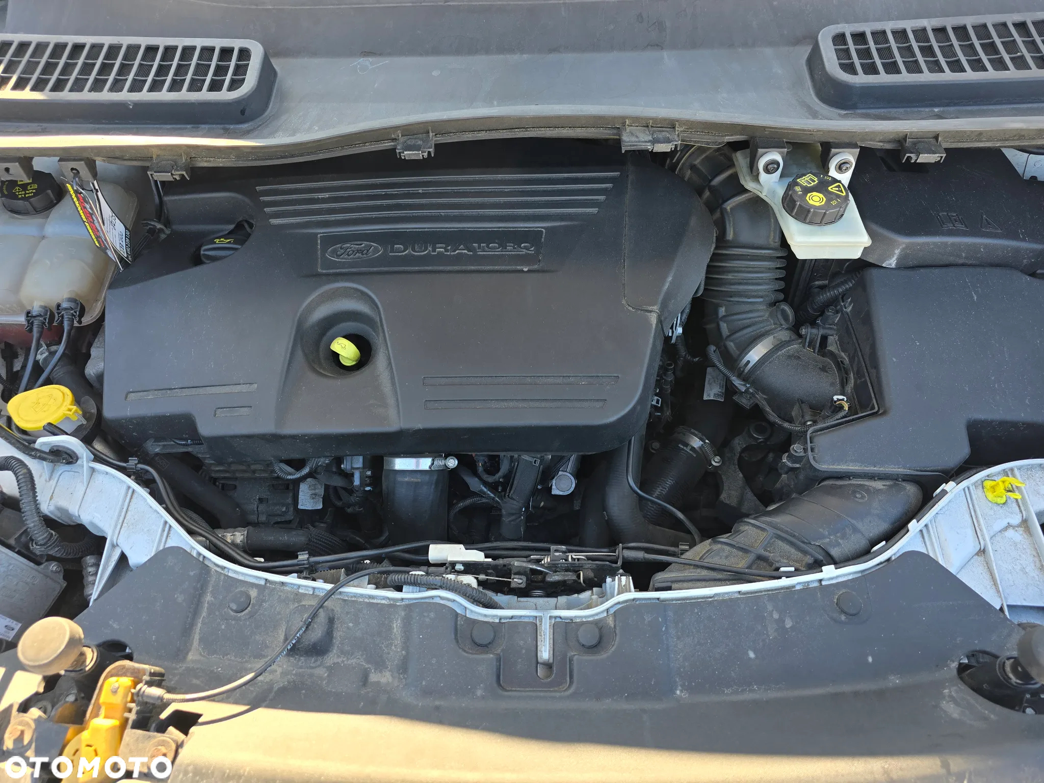 Ford Kuga 2.0 TDCi 4x4 Individual - 19