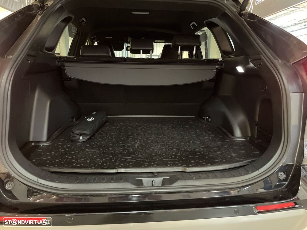 Toyota RAV4 - 20