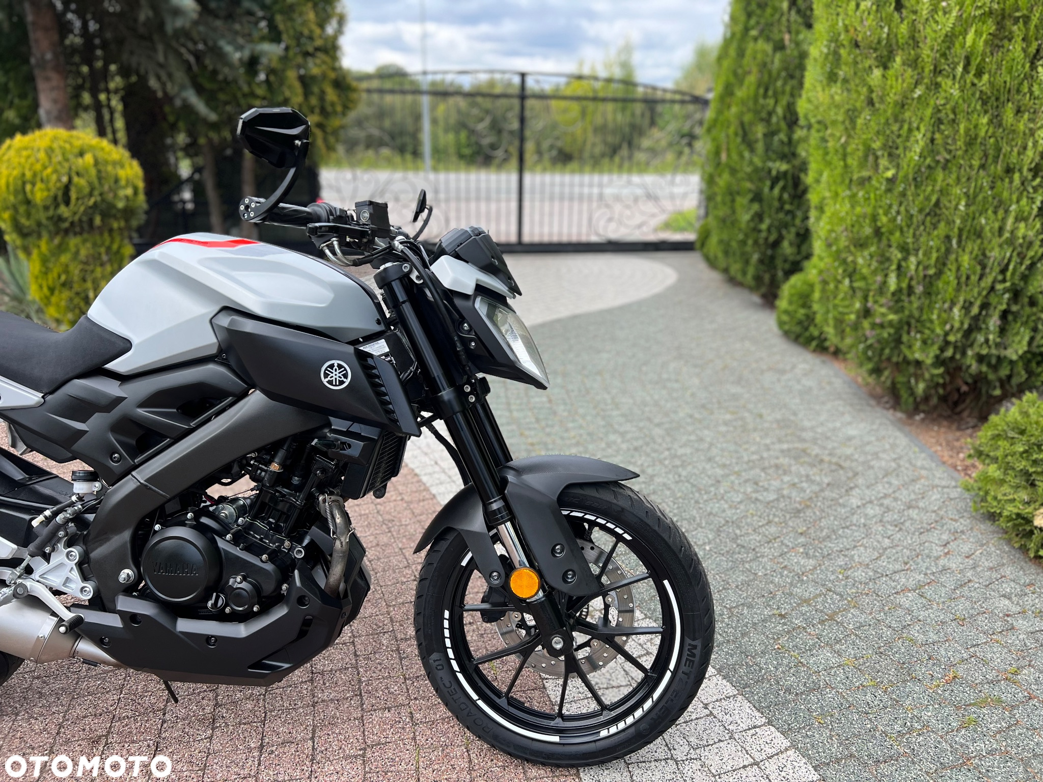 Yamaha MT - 6