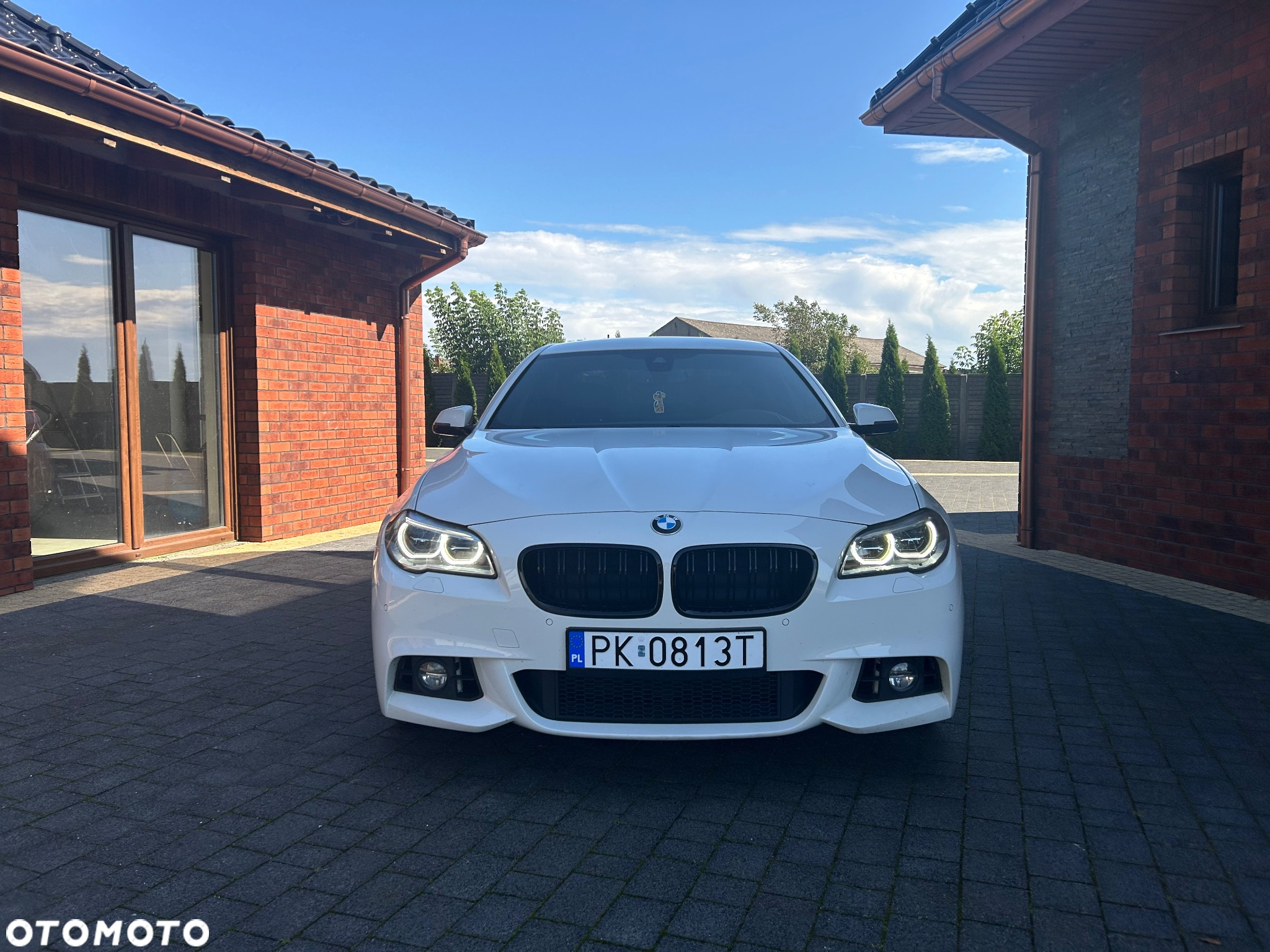 BMW Seria 5 520d xDrive - 5