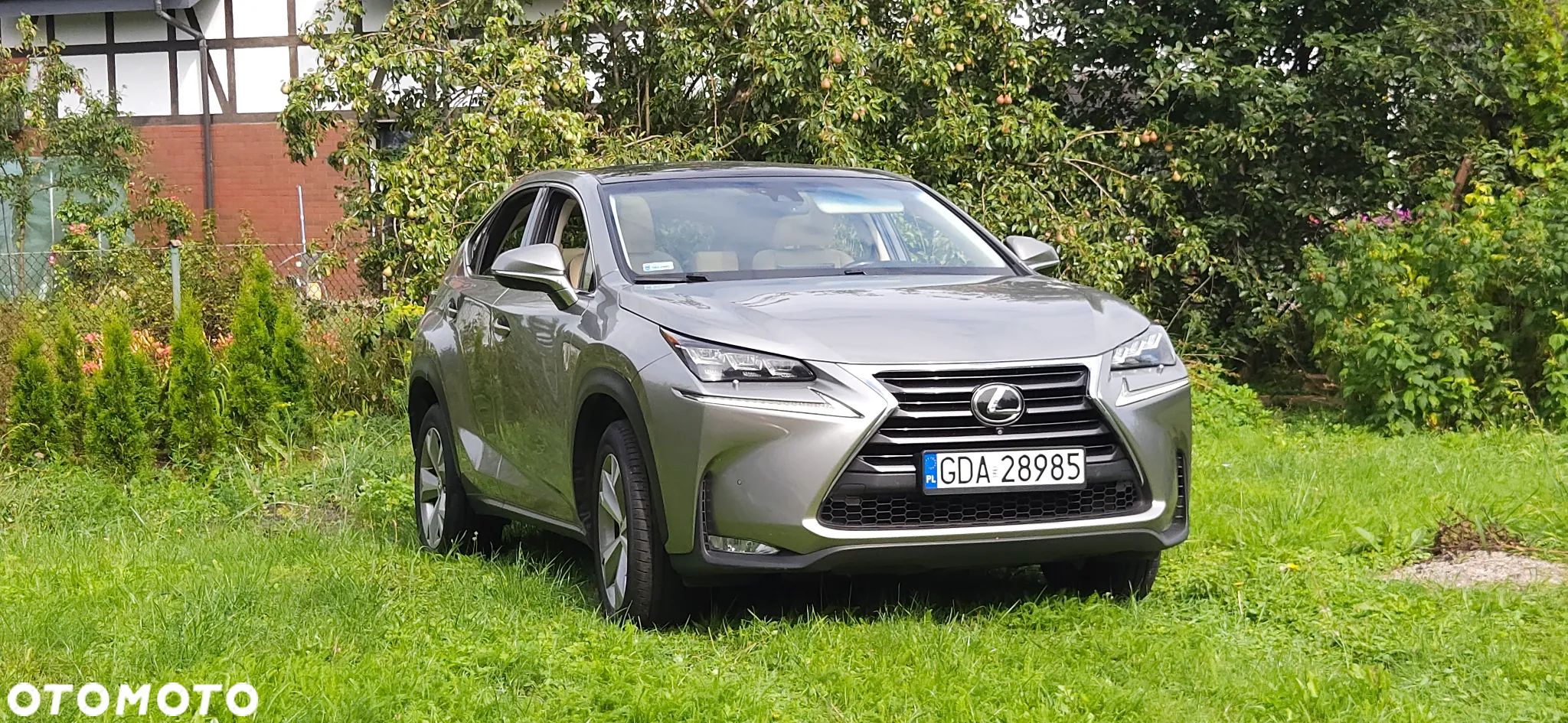 Lexus NX 200t Prestige AWD - 1