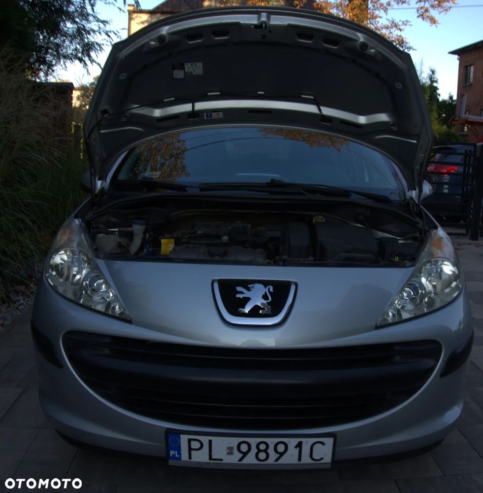 Peugeot 207 - 6