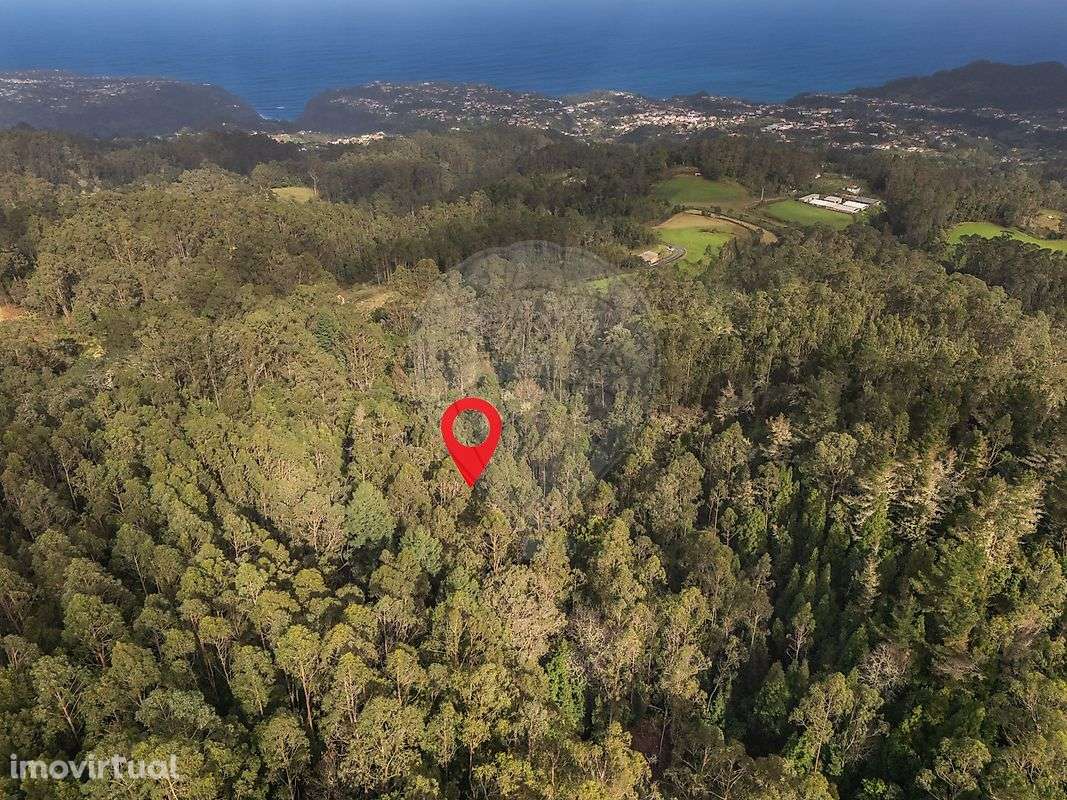 Terreno  para venda - Grande imagem: 3/14