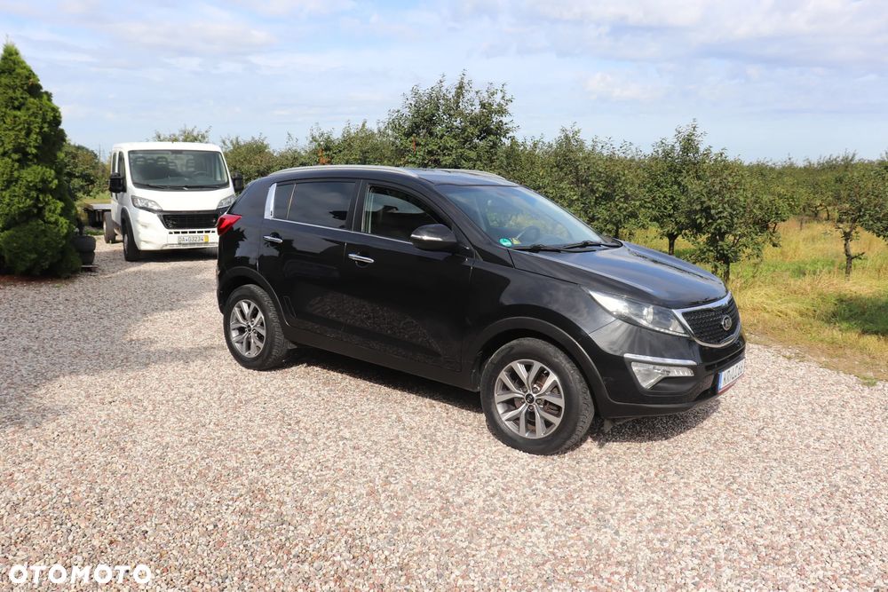 Kia Sportage 1.6 GDI Business Line L 2WD - 8
