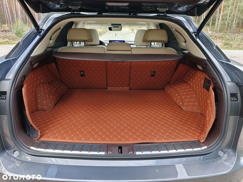 Lexus RX 450h Prestige - 18