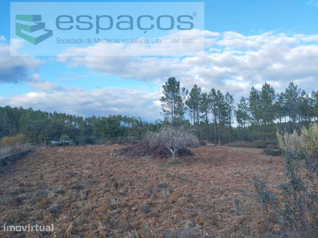 Terreno - Grande imagem: 4/9