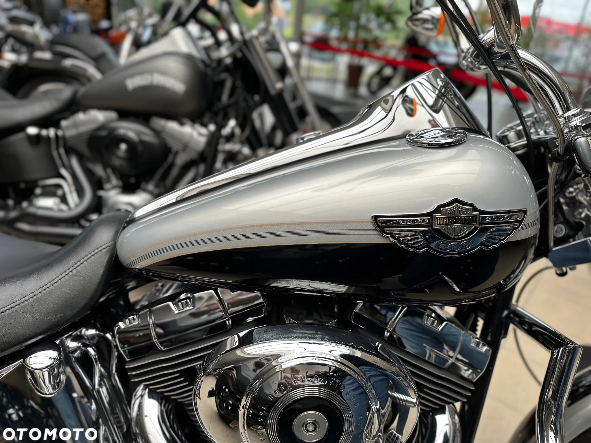 Harley-Davidson Softail - 14