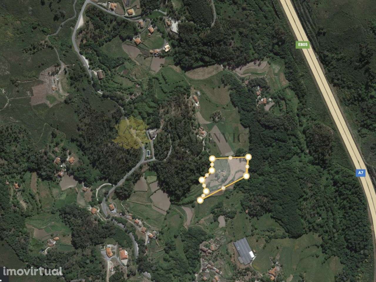 Quinta  Ribas Celorico de Basto + Pinhal - Oportunidade Turismo Rural - Grande imagem: 5/9