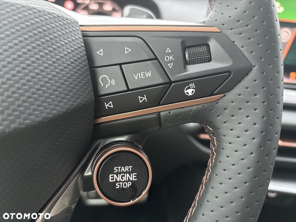 Cupra Terramar 2.0 TSI 4Drive Advantage Edition DSG - 20