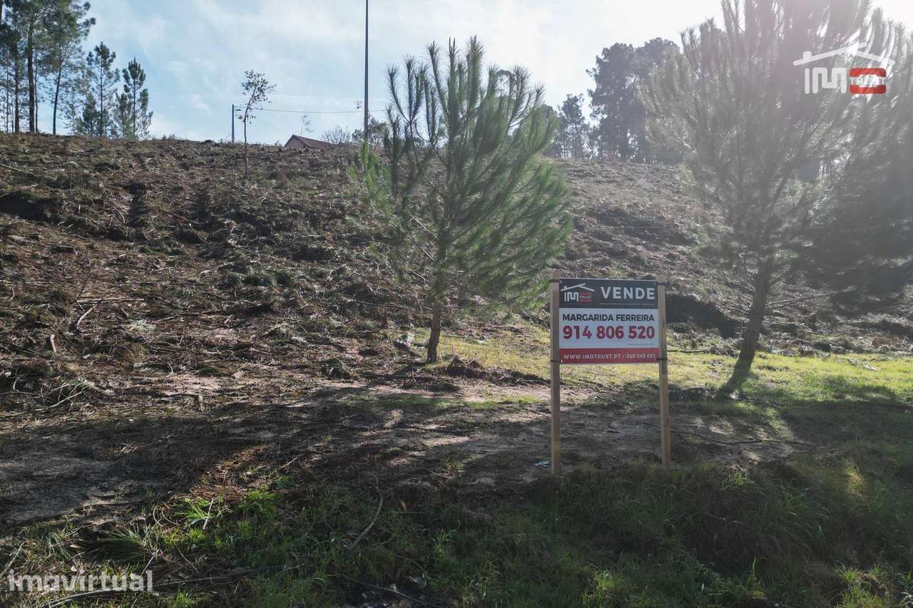 Terreno com pinhal com área 7.700 m2 com possível viabilidade de co... - Grande imagem: 5/29