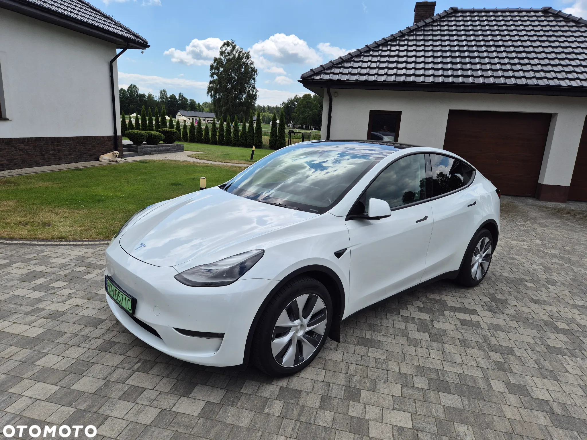 Tesla Y Long Range AWD - 8