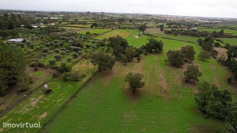 Terreno - Grande imagem: 5/7