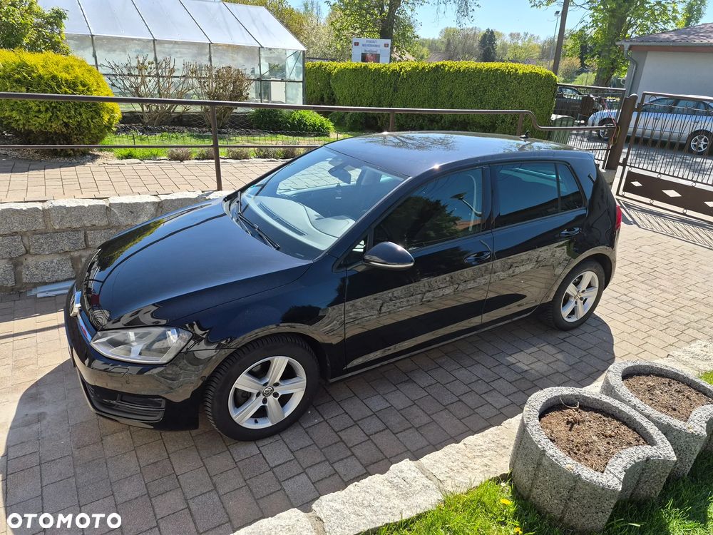 Volkswagen Golf 1.6 TDI DPF BlueMotion - 3