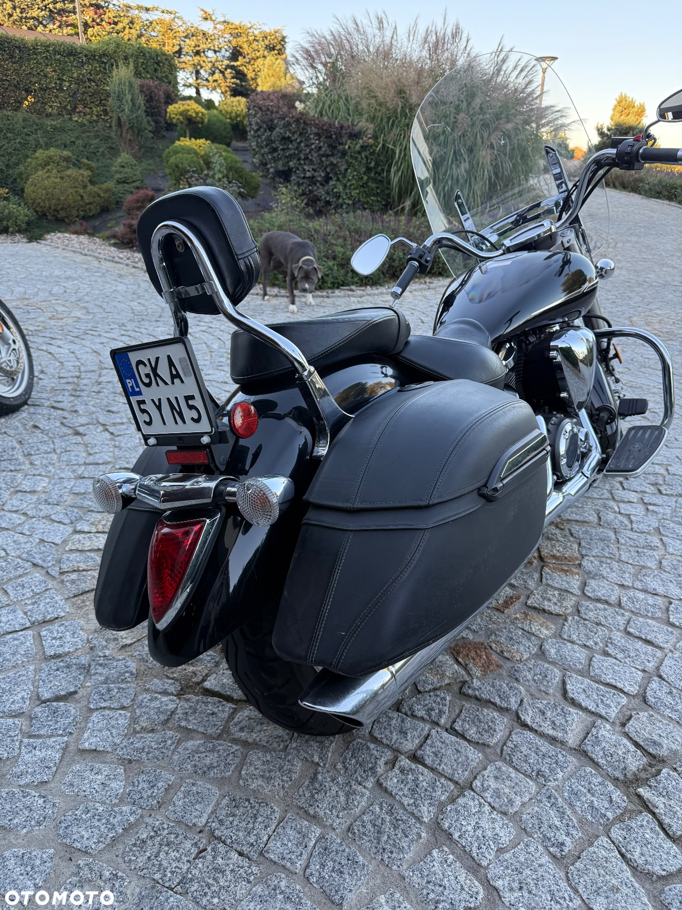Yamaha XVS - 5