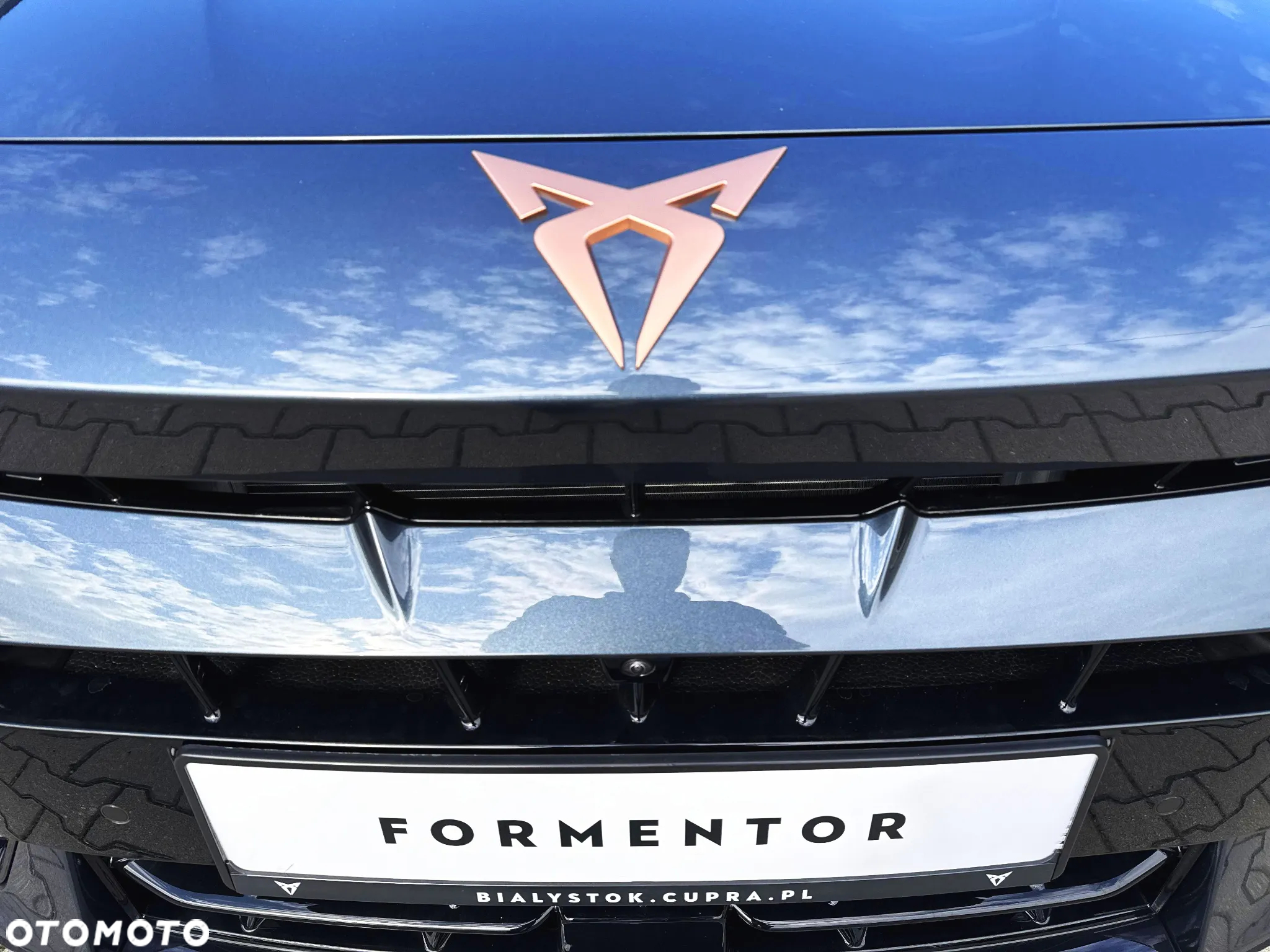 Cupra Formentor 2.0 TSI 4Drive DSG - 21