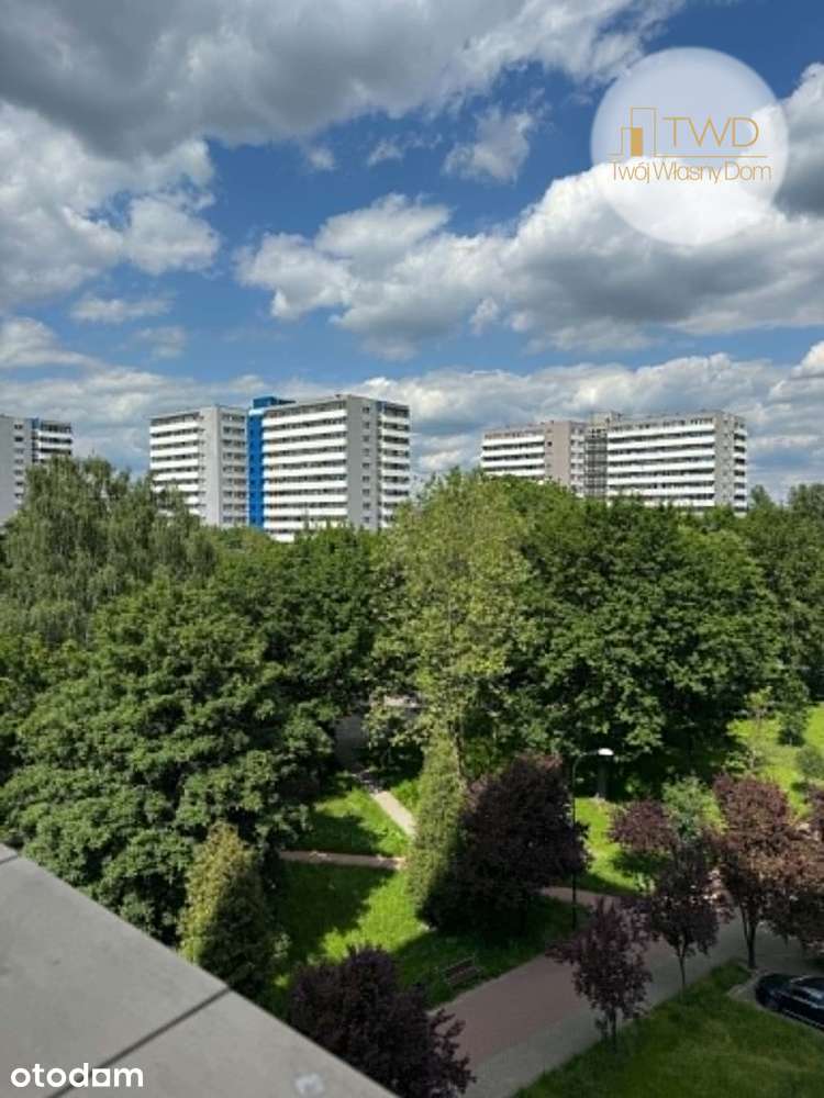 Kawalerka na wynajem na osiedlu Tysiąclecia.