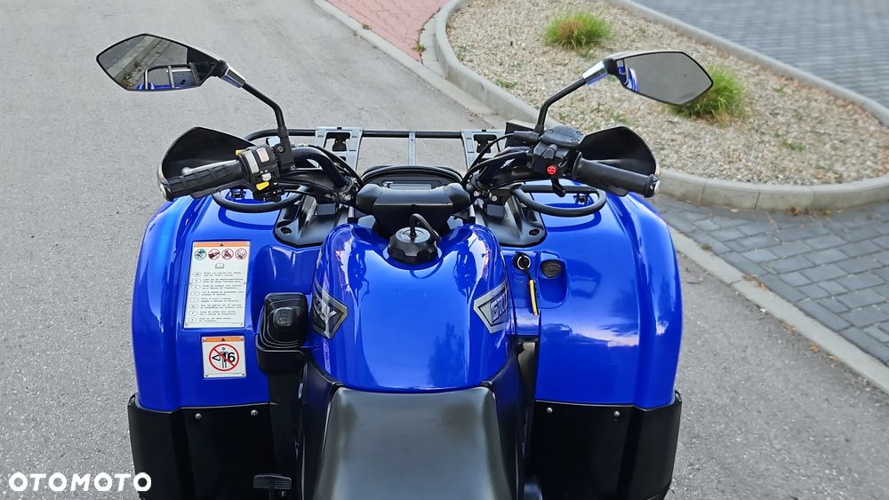 Yamaha Grizzly - 19