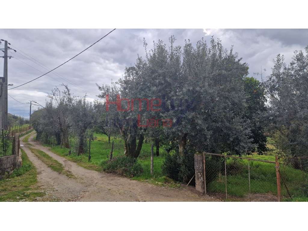 Terreno em Santiago de Besteiros - Grande imagem: 2/16