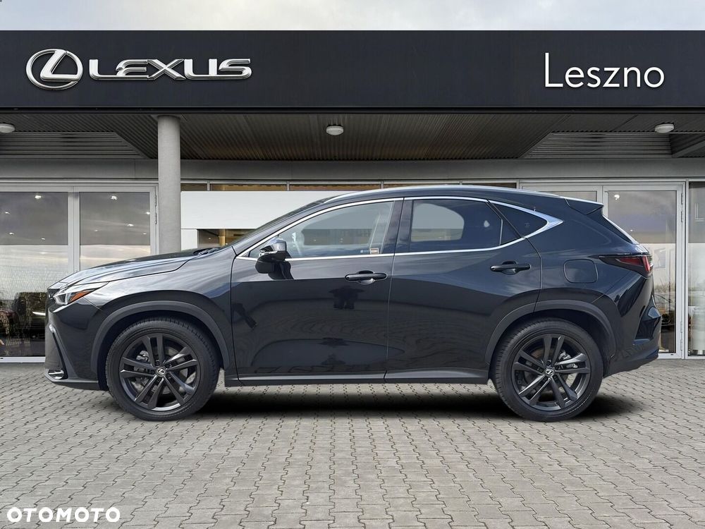 Lexus NX - 10