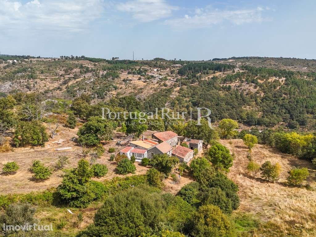 Quinta de 24ha com potencial para Turismo - Grande imagem: 2/57