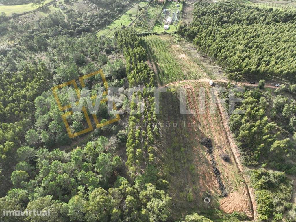 Terreno Agrícola de 8875m2 - Excelente exposição solar - Sobral da ... - Grande imagem: 3/19