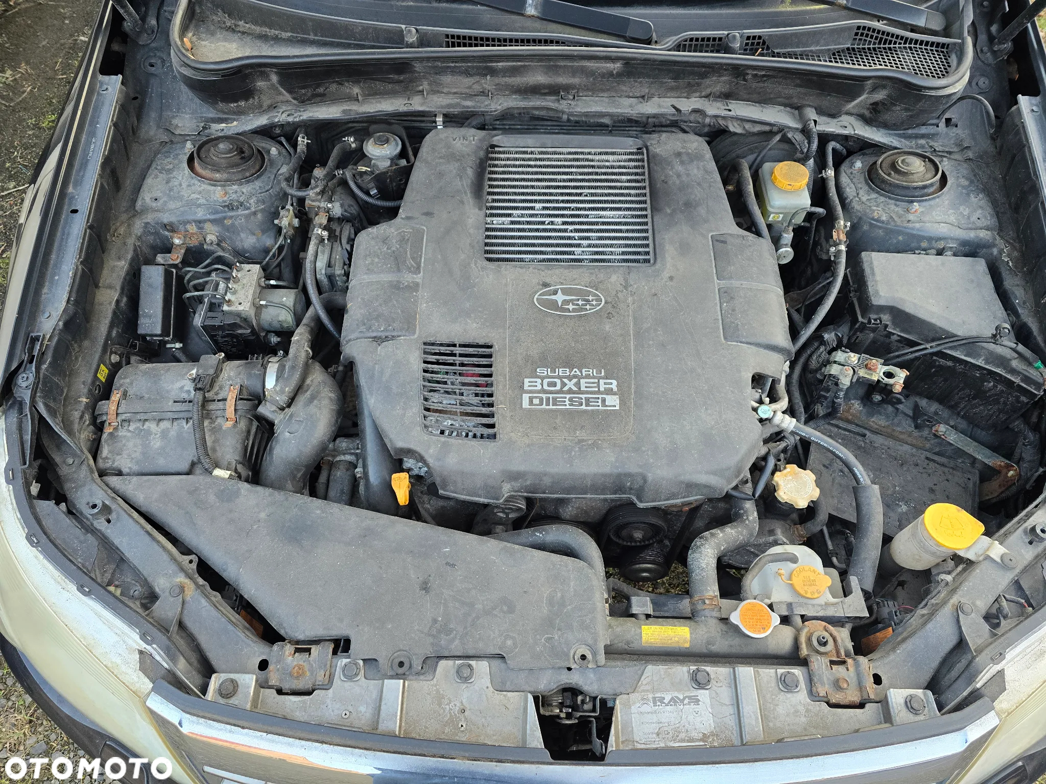 Subaru Forester Outback impreza legacy silnik 2.0 diesel EE20Z boxer - 2