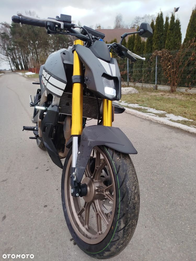 Mondial Piega - 2